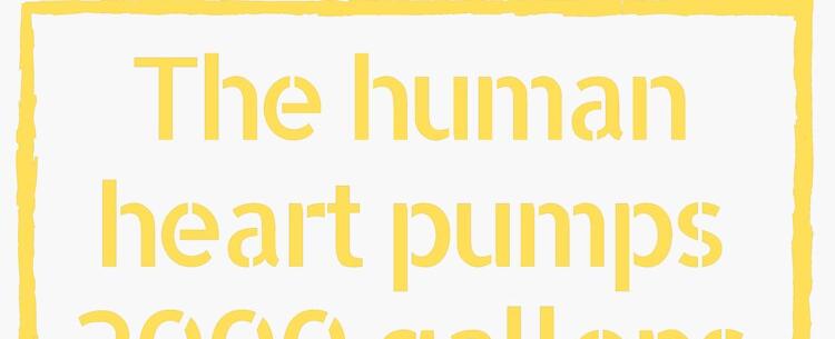 Your heart pumps about 2000 gallons of blood per day on average over your lifetime it will pump 1 5 million barrels of blood that s enough to fill 200 train tank cars