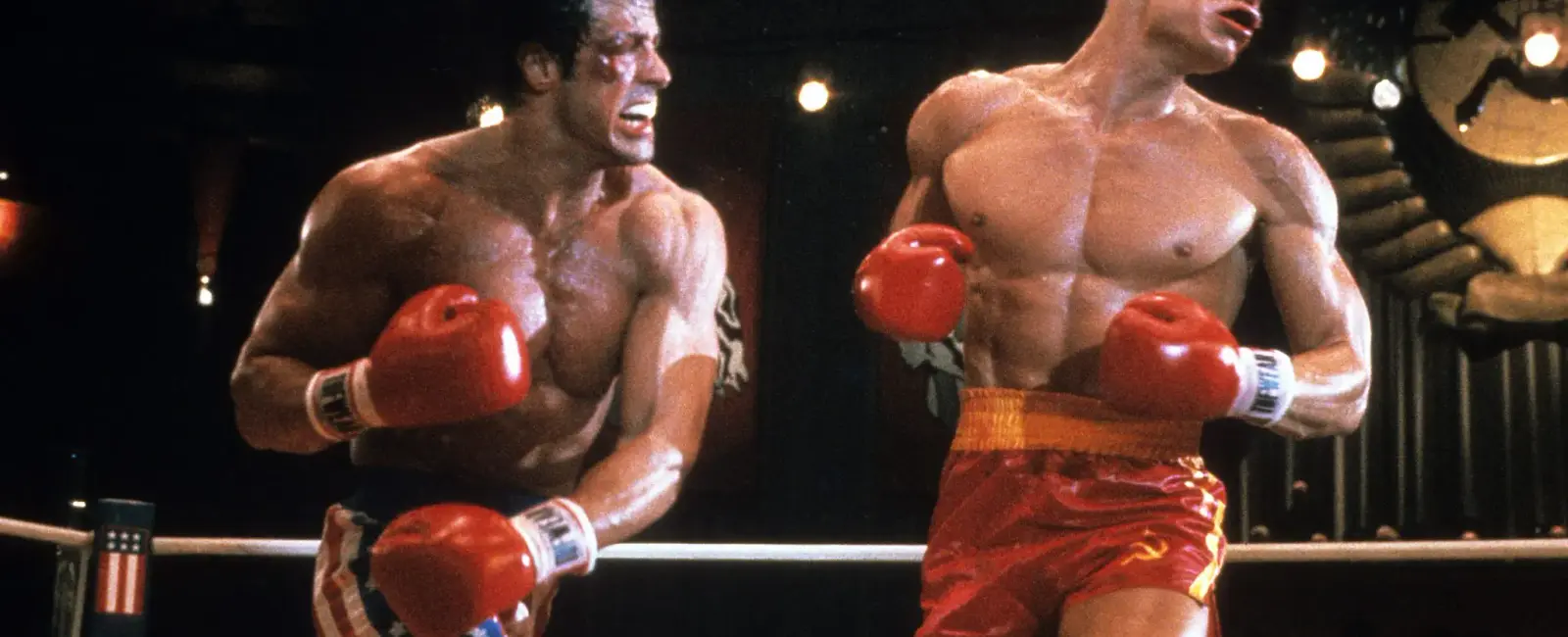 Sylvester stallone wanted to make sure the boxing scenes looked real in rocky iv so he instructed dolph lundgren to actually hit him a punch to the chest left stallone in intensive care for four days