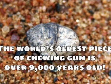 The world s oldest piece of chewing gum is at least 5 000 years old