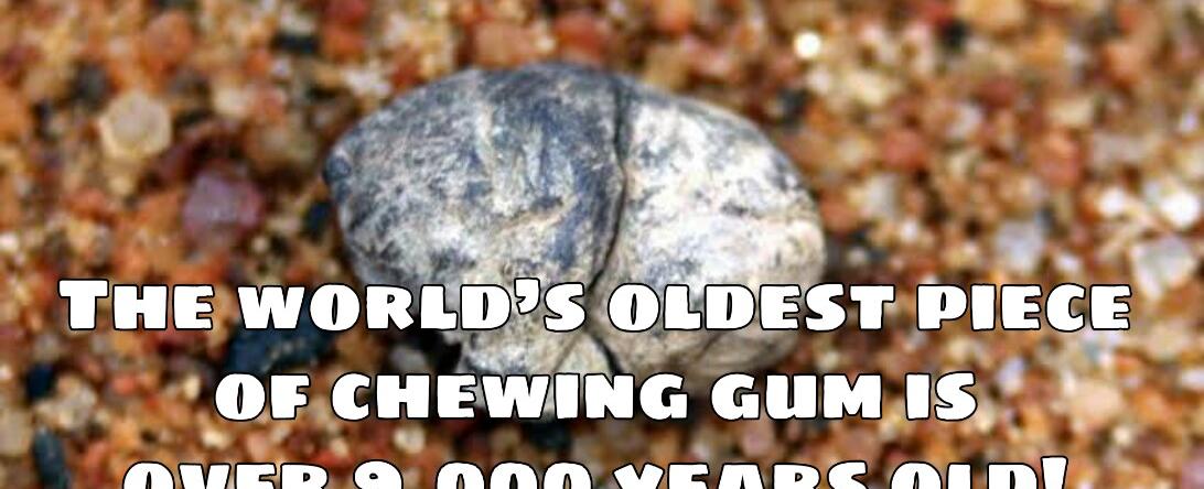 The world s oldest piece of chewing gum is at least 5 000 years old