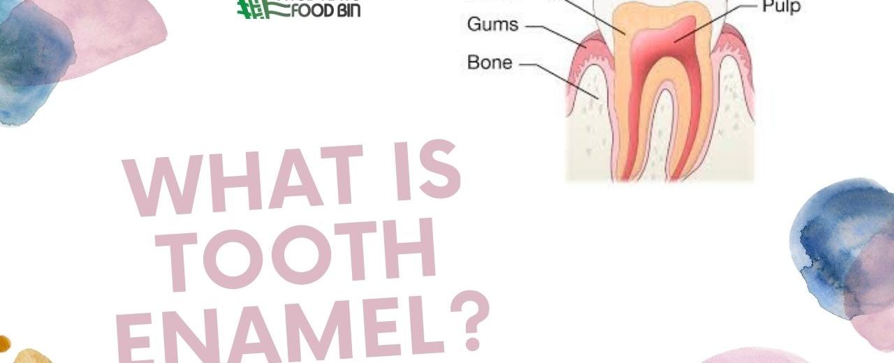 Enamel is the hardest substance in the human body