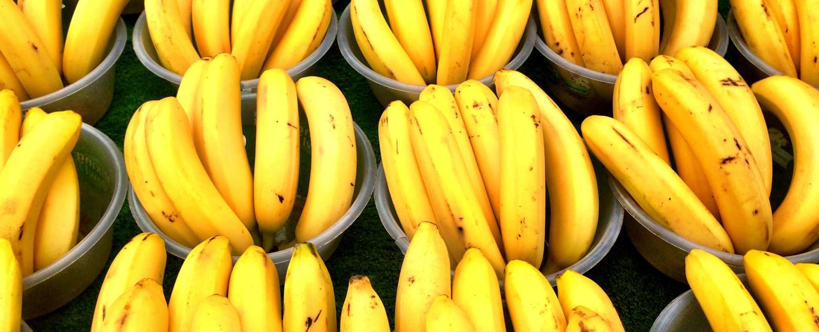 Americans revealed in a survey that banana was their favorite smell