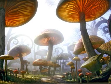 Long before trees overtook the land earth was covered by giant mushrooms