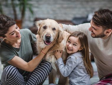 Dog owners in rome can be fined 625 if they do not walk their dog at least once per day