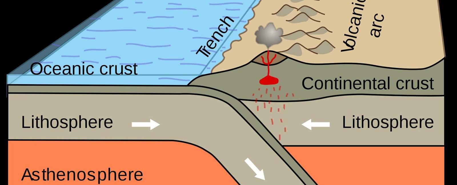 The himalayas are growing at a rate of about 0 78 inches per year this is due to the tectonic plates underneath colliding and pushing upwards