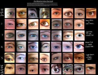 A human eye can distinguish between 30 shades of gray