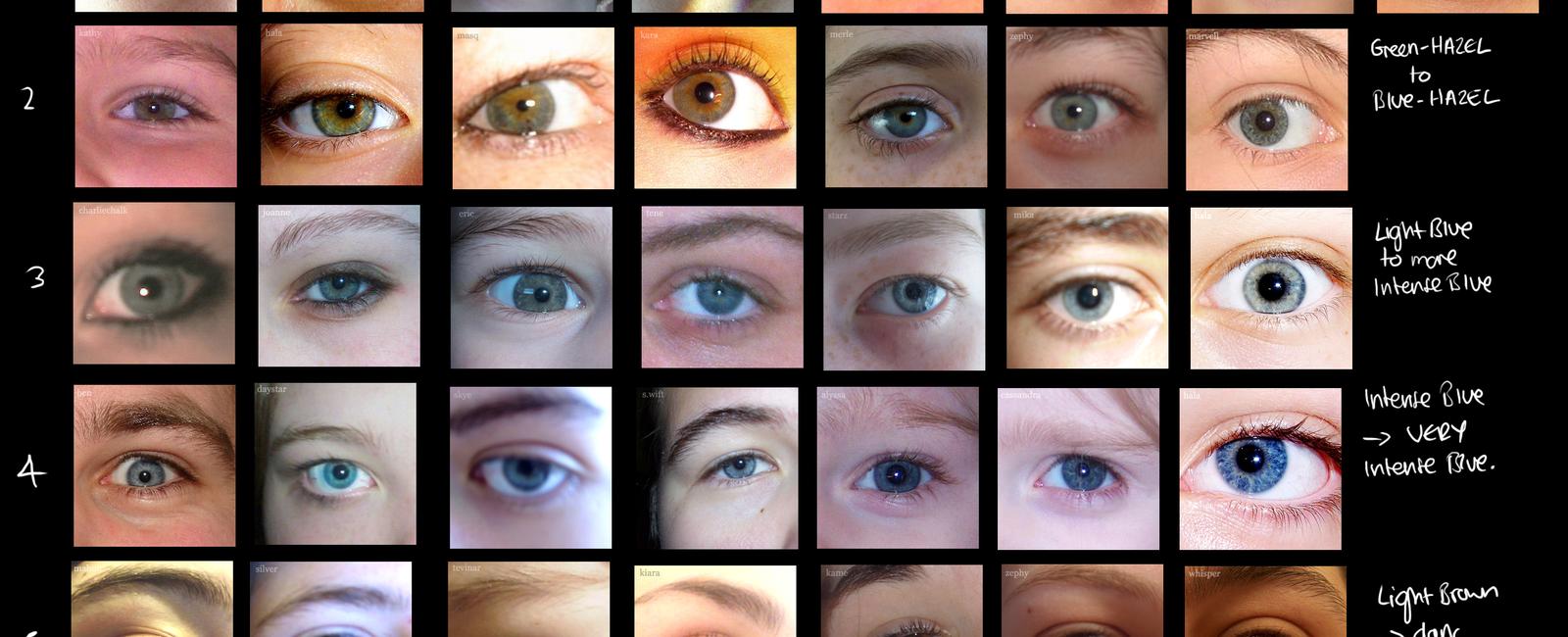 A human eye can distinguish between 30 shades of gray