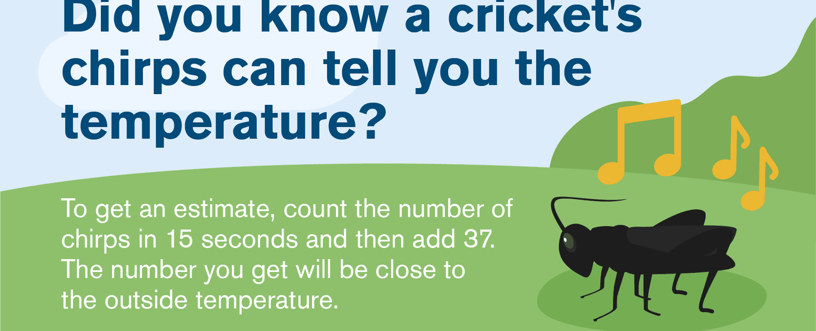 Which insect can indicate the air temperature cricket