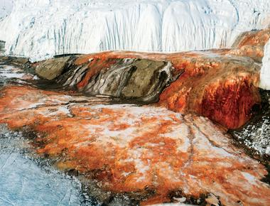 One of strange antarctica facts is that a glacier named blood fall regularly pours out the red liquid which makes it look like ice is bleeding