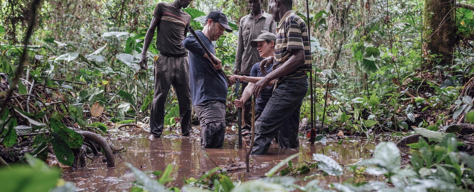 The congo basin is home to the world s second largest tropical forest