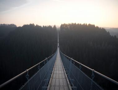 The high place phenomenon is the sudden urge to jump off a high place such as a bridge