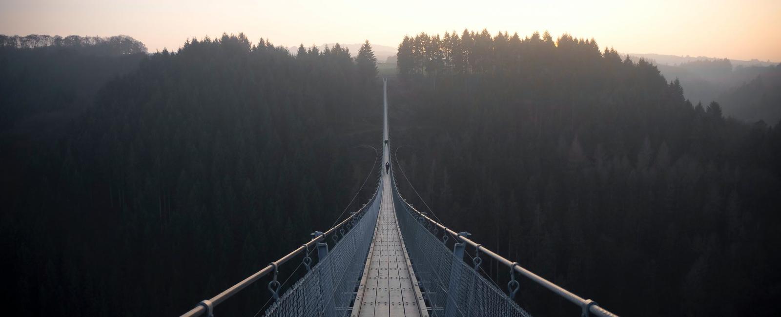 The high place phenomenon is the sudden urge to jump off a high place such as a bridge