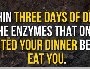 Within three days of death the enzymes that once digested your dinner begin to eat you