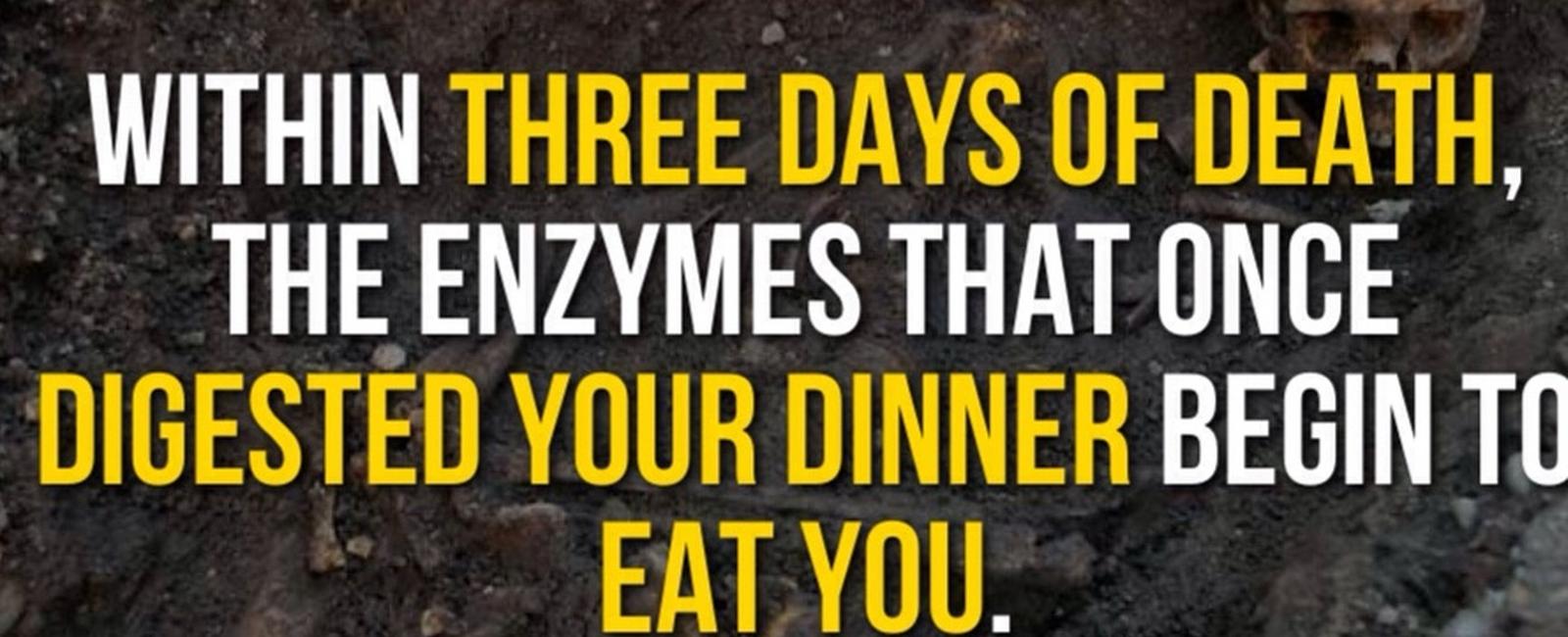 Within three days of death the enzymes that once digested your dinner begin to eat you