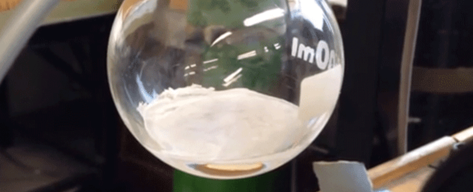 Water can boil and freeze at the same time