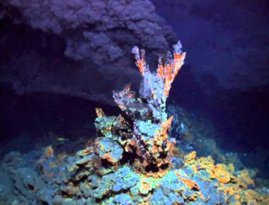 New creatures are still being discovered on earth inside deep sea volcano vents scientists have found various creatures like scaly foot snails yeti crabs and others entirely unknown to science