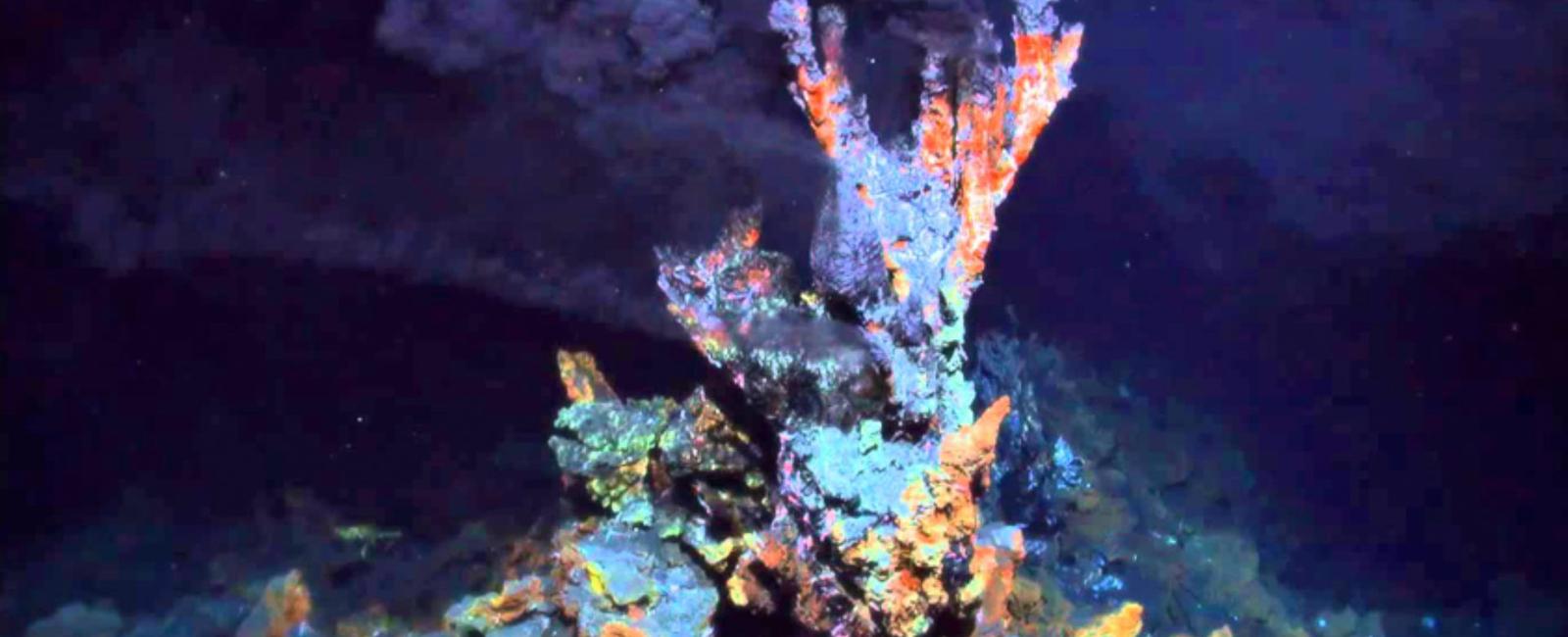 New creatures are still being discovered on earth inside deep sea volcano vents scientists have found various creatures like scaly foot snails yeti crabs and others entirely unknown to science