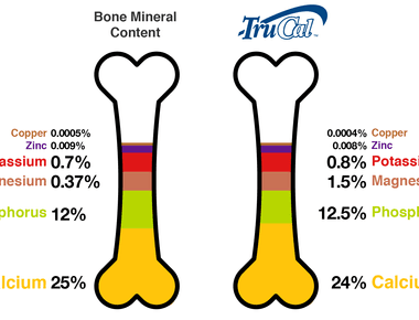 Teeth and bones contain over 99 of the calcium found in humans