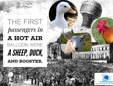 A sheep a duck and a rooster were the first passengers in a hot air balloon
