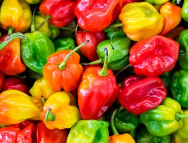 Some foods taste hot like peppers while some cold like mint thanks to chemesthetic sensations molecules in food like capsaicin hot and allyl isothiocyanate cold activate the feeling of hot or cold