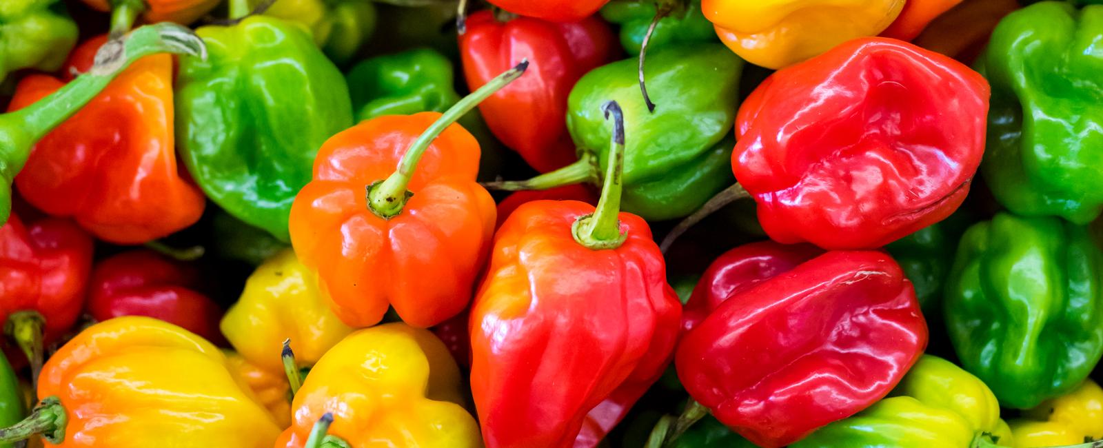 Some foods taste hot like peppers while some cold like mint thanks to chemesthetic sensations molecules in food like capsaicin hot and allyl isothiocyanate cold activate the feeling of hot or cold