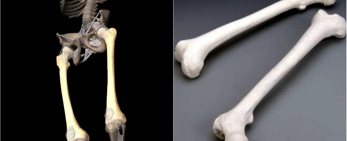 Human thighbones are stronger than concrete