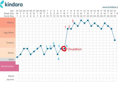 Ovulation heats up a woman s body by as much as half a degree fahrenheit before ovulation most women run between 96 and 98 degrees f right after ovulation body temperature goes up to around 97 to 99 degrees f