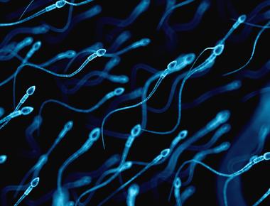 Men can improve their sperm quality and increase fertility through frequent ejaculation