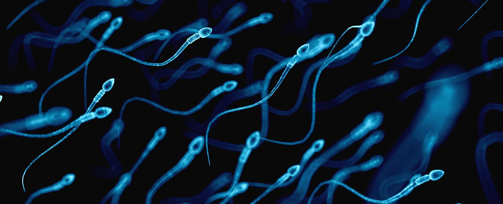 Men can improve their sperm quality and increase fertility through frequent ejaculation