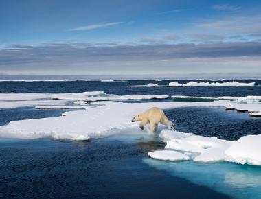 The arctic ocean is the smallest in the world