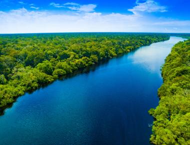 The amazon rainforest is the largest tropical rainforest on earth