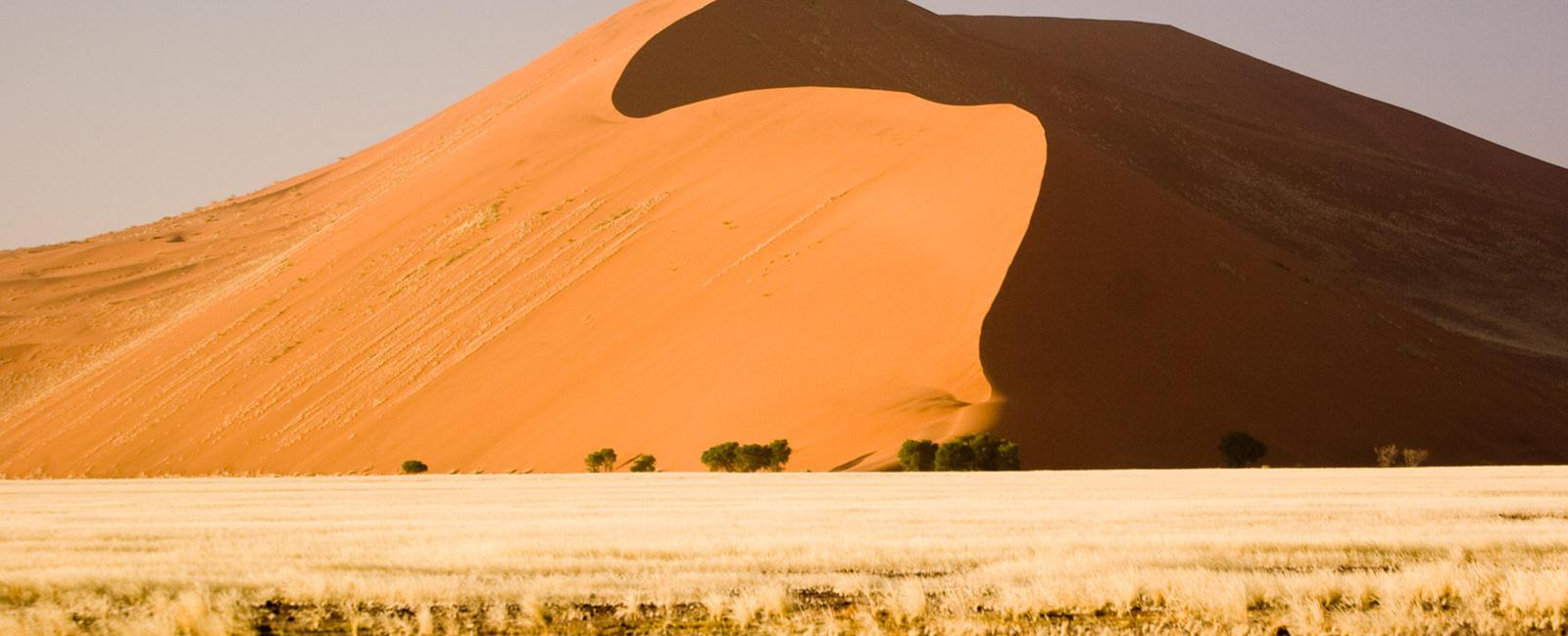 The namib desert has the highest sand dunes in the world and is also the world s oldest desert