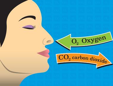 From all of the oxygen that we breathe 20 per cent of it goes to the brain