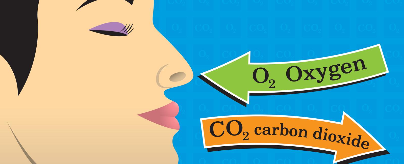 From all of the oxygen that we breathe 20 per cent of it goes to the brain