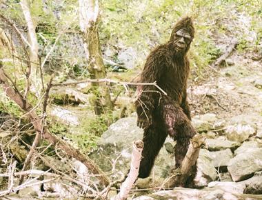 It is illegal to kill sasquatch bigfoot in british columbia canada the law was first created in the 1800s and is still valid today there is a 250 000 fine if someone kills sasquatch without a hunting license washington state has a similar law