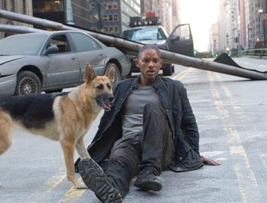 Will smith fell in love with his canine co star abbey in the movie i am legend he tried to adopt her when they finished filming but the dog s trainer didn t give her up