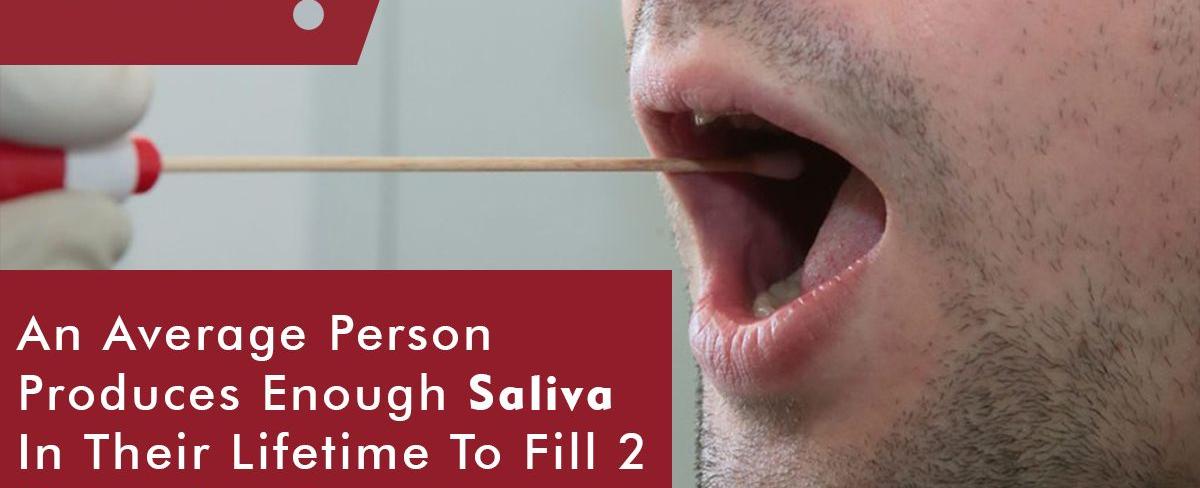 The average person produces enough saliva in their lifetime to fill two swimming pools