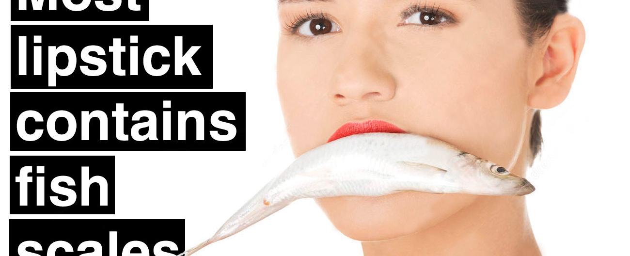 Most lipsticks contain fish scales