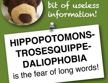 Hippopotomonstrosesquippedaliophobia is the fear of long words