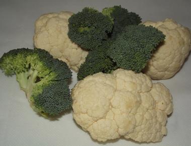 Broccoli and cauliflower are vegetables that comes from the flowers