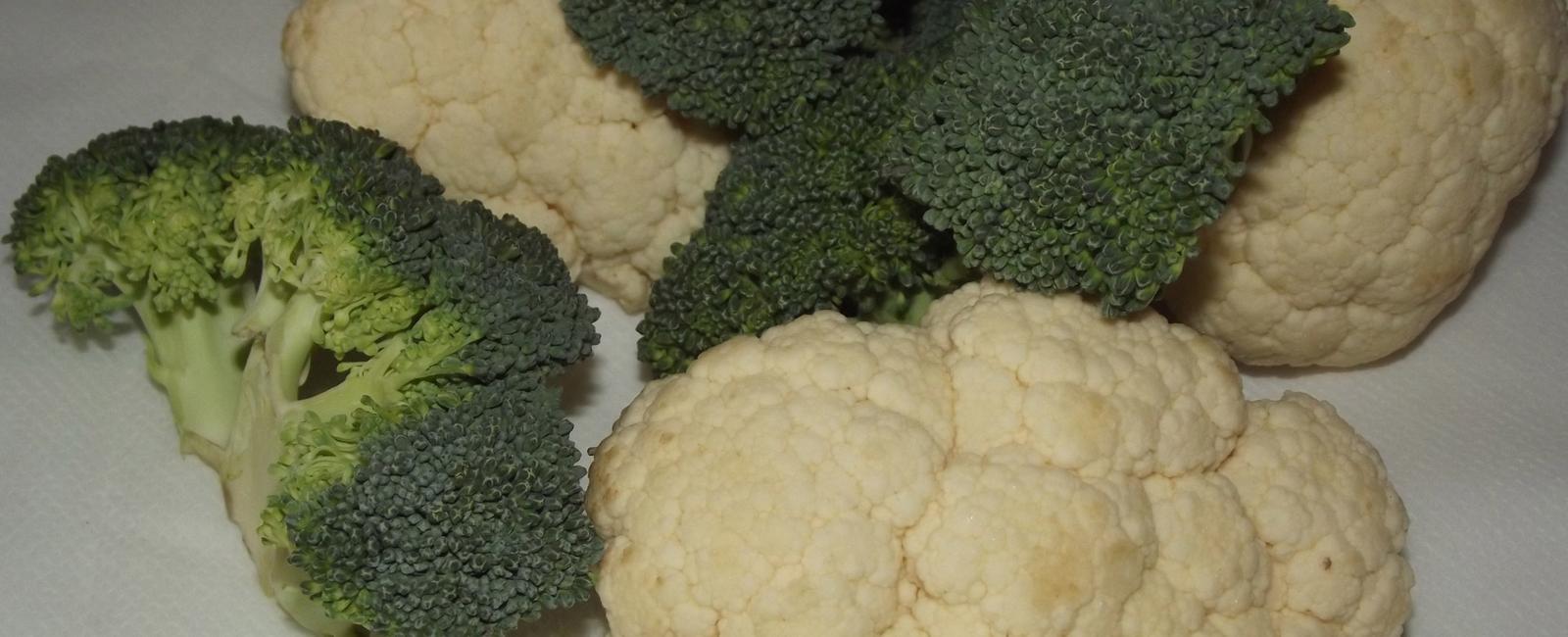 Broccoli and cauliflower are vegetables that comes from the flowers