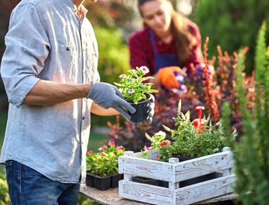 Someone who is enthusiastic about tending the garden is said to have this appendage greenthumb