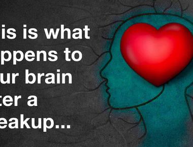 Recovering from a break up has the same impact on the brain as recovering from substance abuse