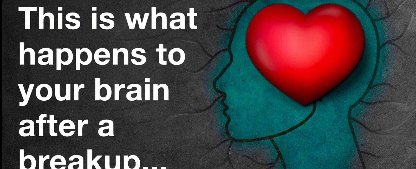 Recovering from a break up has the same impact on the brain as recovering from substance abuse