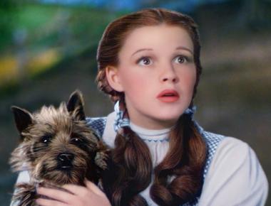 Toto was paid 125 per week while filming the wizard of oz