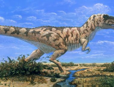 The most well known dinosaur tyrannosaurus rex lived over 65 85 million years ago scientists now estimate that they reached adult size at 20 but that their life span was only up to 30 years old