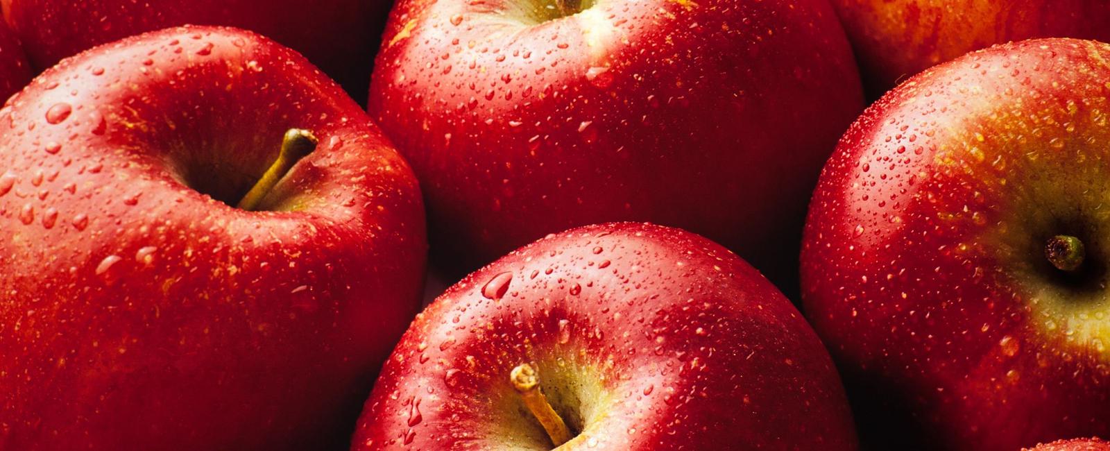 A fresh apple is made up of about 25 air
