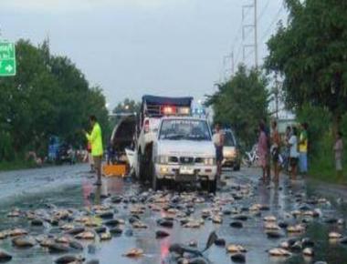 rain of fish is an annual weather event in which hundreds of fish rain from the sky onto the city yoro in honduras