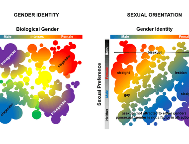 Adult males and females dream about sex nearly 8 of the time the content of sex dreams differs between the genders including partners and the circumstances involved