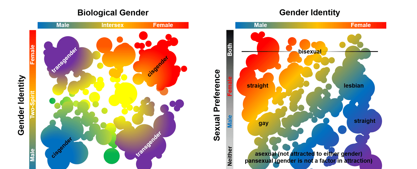 Adult males and females dream about sex nearly 8 of the time the content of sex dreams differs between the genders including partners and the circumstances involved